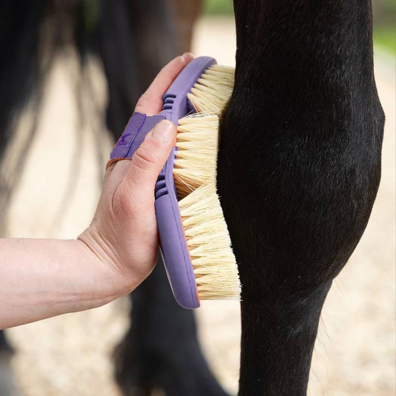 AIMALL Oval Horse Cleaning Brush - Versatile Riding Comb with