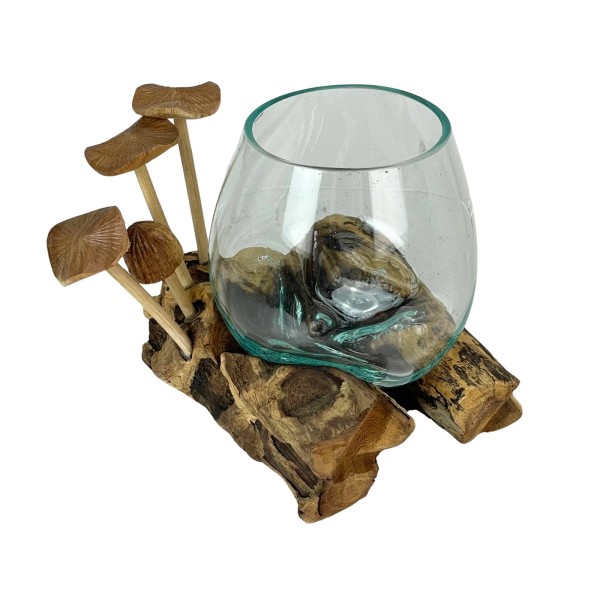 Things2Die4 Handcrafted Glass Vase with Teak Driftwood and Wood Mushroom