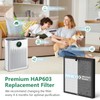 2 Packs HAP-603 Replacement Filter Compatible with ECOSELF HAP603 Air