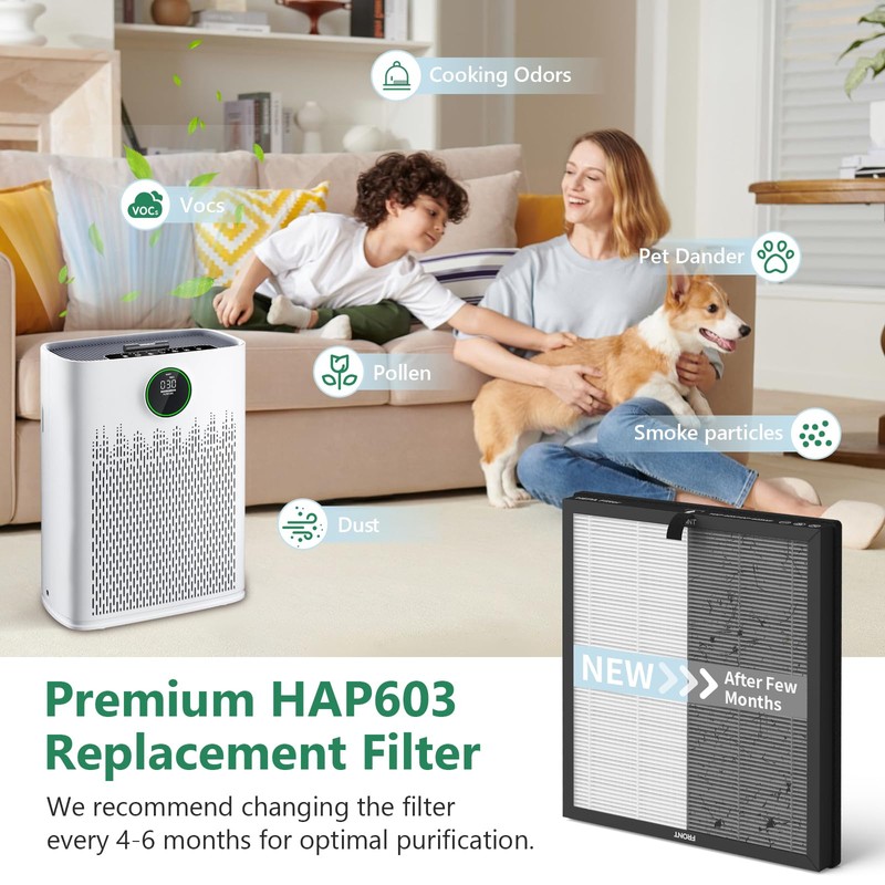 2 Packs HAP-603 Replacement Filter Compatible with ECOSELF HAP603 Air