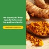 Natural Factors - Turmeric & Bromelain 450mg, Superior Standardized Extracts,