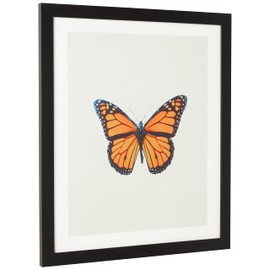 Deny Designs Chelsea Victoria Black Framed Wall Art, 19" x 22.4", The Queen Butterfly