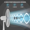 mollie Oscillating Pedestal Fan with Remote Control 12H Timer Portable