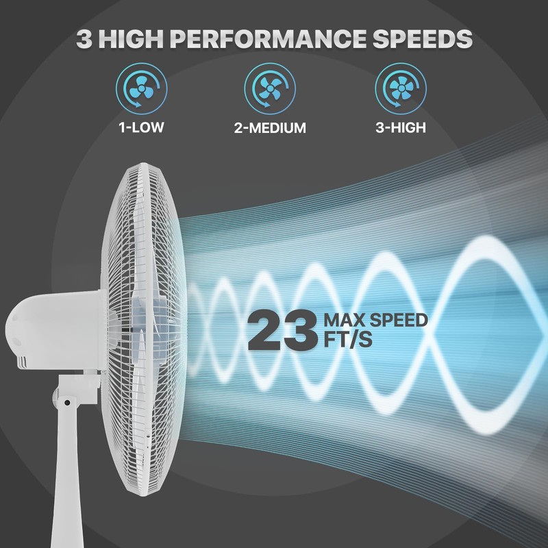 mollie Oscillating Pedestal Fan with Remote Control 12H Timer Portable