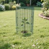6 Pack Plant Protector from Animals, 12'' Dia x 12''