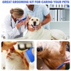 Flea Comb for Cats Dogs, 3 PCS Lice Combs Fine