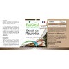 Fairvital Pleurotus Extract 500 mg - High Dose - Pleurotus