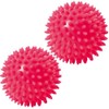 TOGU Spiked Ball Massage Ball Hedgehog Ball Set of 2