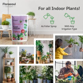 Florasoul PLANT BOOSTER Indoor Plant Food Water Soluble Flakes Organic Seaweed Fertilizer NO SMELL Best House Plant Feed Eco Friendly, Certified Vegan Organic Plant Fertilizer 500g/350l