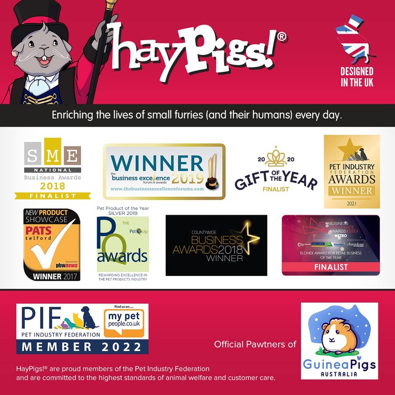 HAYPIGS Guinea Pig Toys and Accessories - Circus Themed Fleece