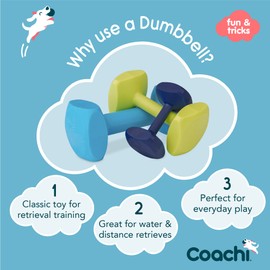 Coachi Training Dumbbell, Floats, Long Distance Throwing, Classic Retrieval Toy, Gundog and Puppy Training. Dog Accessory, Super Tough & Strong, Suitable for Medium Dogs and Puppies (Size M, Lime)
