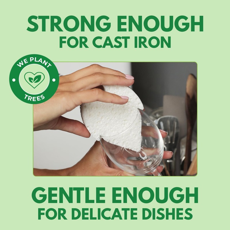 AIRNEX Natural Kitchen Sponges (6 Pack) - Biodegradable Cellulose &