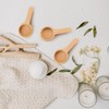 Luckious Short Handle Wooden Coffee Spoon - Coffee and Tea