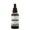 Secrets of the Tribe Secrets of the Tribe Fingerroot Tincture