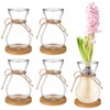 Glass Bulb Vases for Flowers Forcing Hyacinth Clear Decorative Bulb