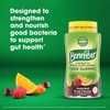 Benefiber Prebiotic Fiber Gummies Assorted Fruit 81 Count Digestive Health