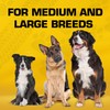 Tonka 3-Ring Tug Outdoor Dog Toy, 10.5 Inch Ring Dog