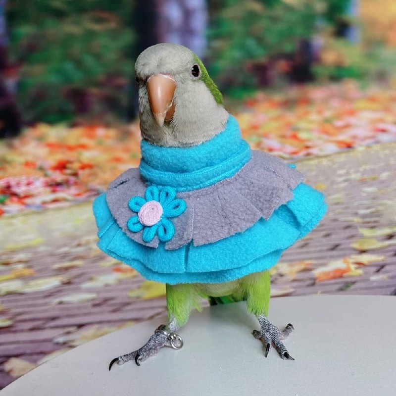 Parrot Neck Collar Pet Anti-bite Picking Feather Healing Protective Neck