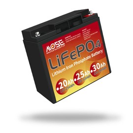 MOSEWORTH 12V Lithium Battery, Lifepo4 Battery 20AH, for Kids Scooters, Solar Power, Small UPS, Gate Opener, Fish Finder Outdoor Camping