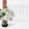 Poste de Musgo para Plantas Trepadoras, Soporte de Plástico en