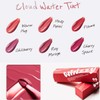 WHIZZY Cloud Water Tint 5.5g, Color:Hazy Petal